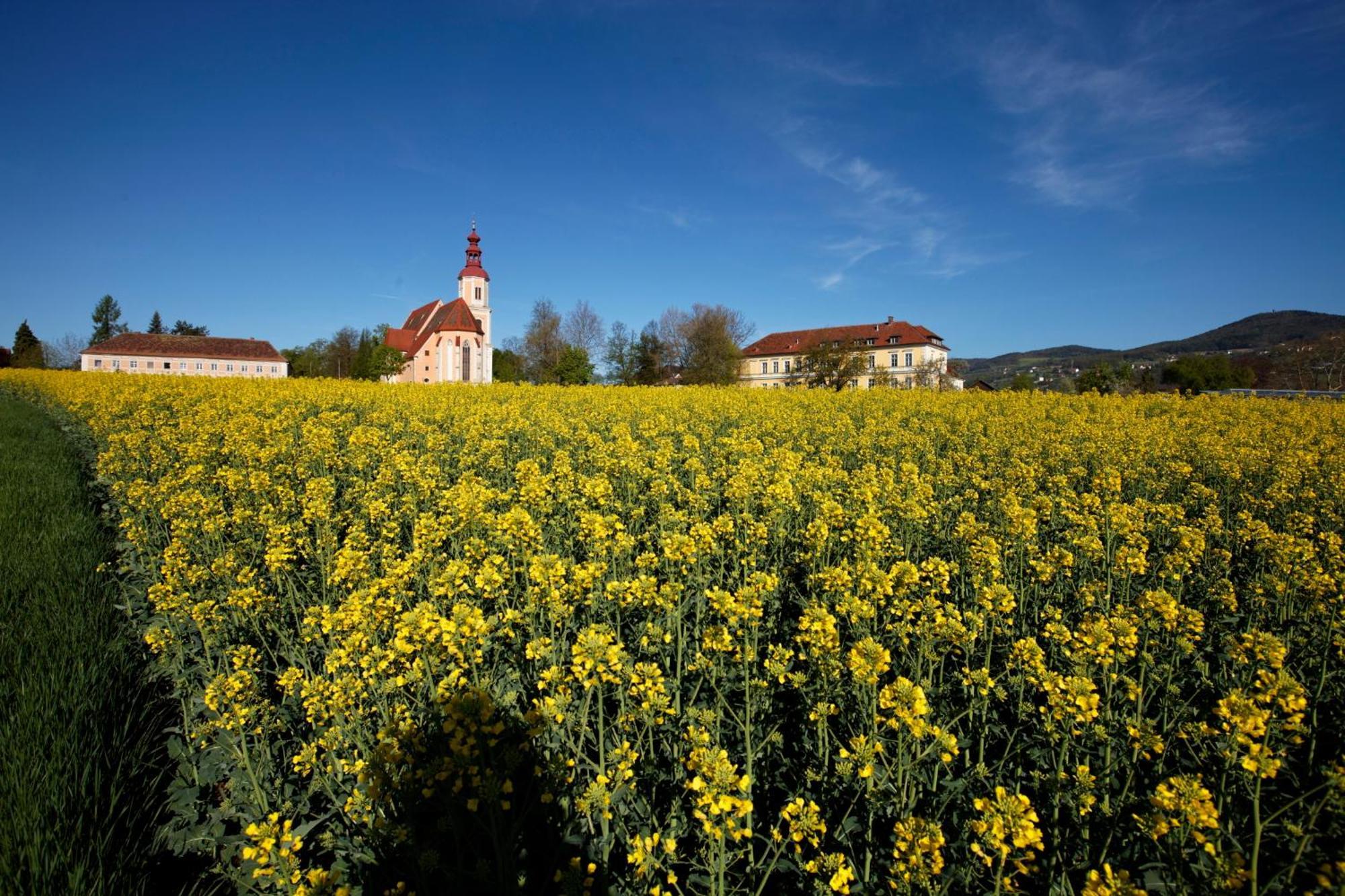 Gasthof Pack "Zur Lebing Au" Гартберґ Екстер'єр фото